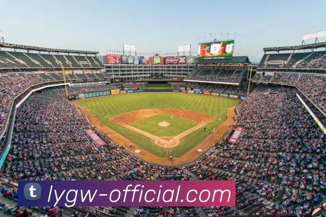 辅助工具 辅助工具